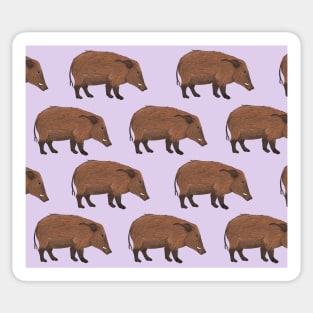 Amazing Red River Hog Sticker